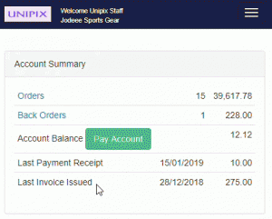 B2B Account Payment